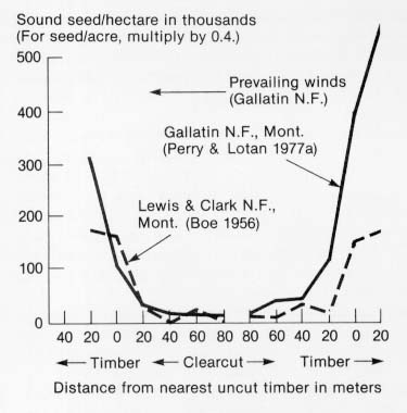 {P. contorta: sound seed per hectare}