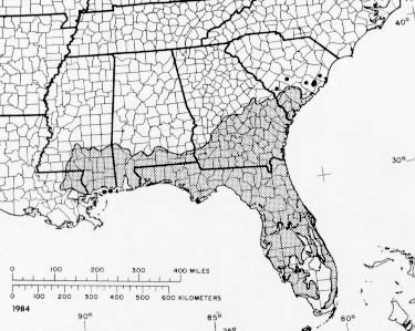 {The native range of Pinus elliottii}