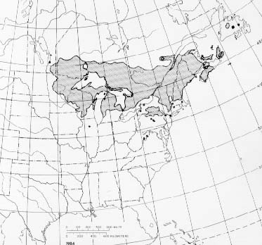 {The native range of Pinus resinosa}