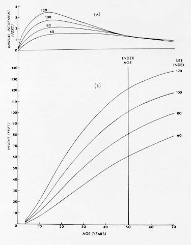 {P. strobus: annual increment curves}