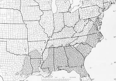 {The native range of Pinus taeda}