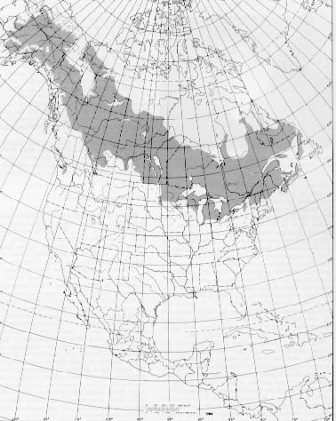 {Native range of Populus balsamifera}